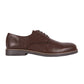 PARKWAY DRESS OXFORD - BROWN